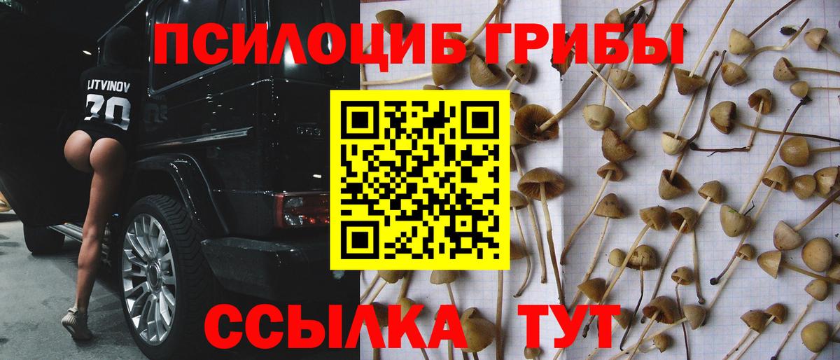 Псилоцибиновые грибы Magic Shrooms Батайск