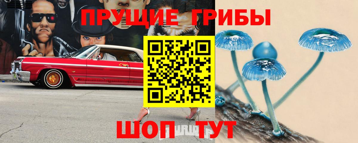 Псилоцибиновые грибы Cubensis  Вход с VPN  Батайск 